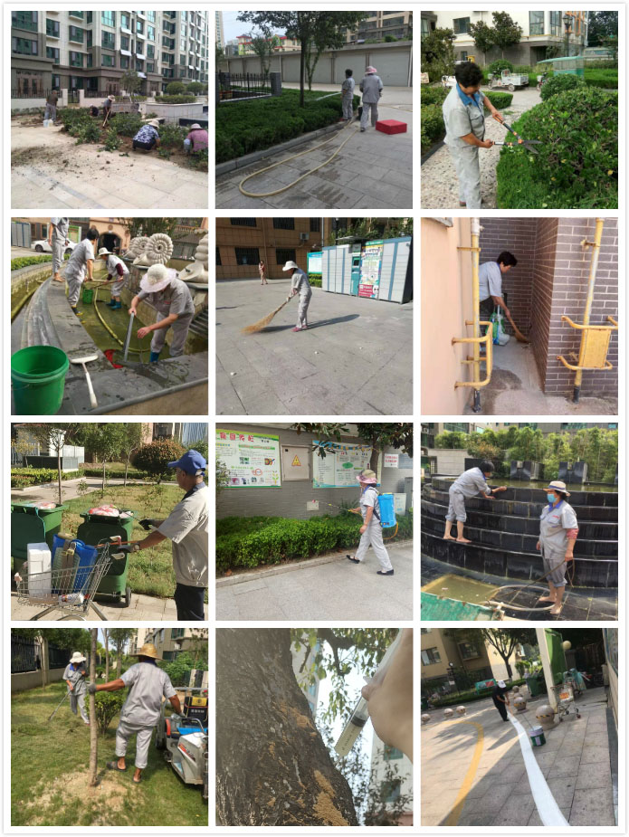 aa